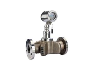 Panametrics PanaFlow Z1G Ultrasonic Flow Meter